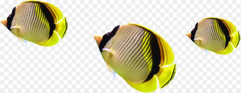 ������Ӱ���������С����-������