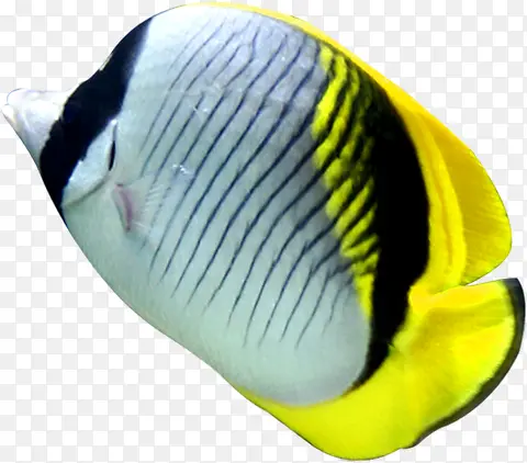 ������Ӱ��������С����-������