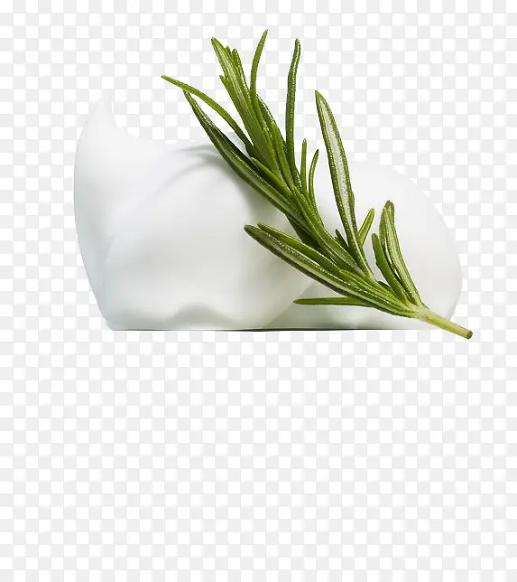 ��Ӱ����ֲ���ȴ�ˮ��-������