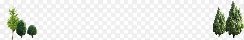 ������Ӱ���ʵ�����ɭ��-������