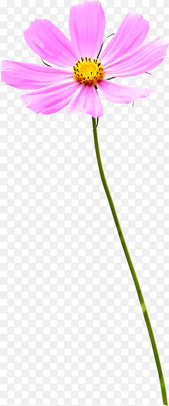 ������Ӱ��ɫ�Ļ���Ч��-������