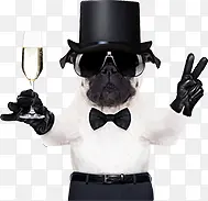 ��������Ӱ�Ⱦ�Ч��-������