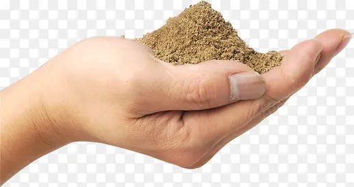 ����ϳ���ץ����Ӱ-������