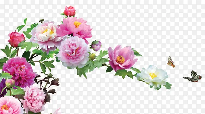 ���ŵĺ��Ļ���Ӱ����-������