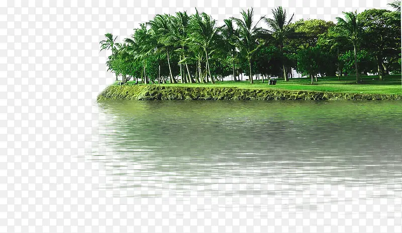 ��Ӱ����Ч����ľ-������