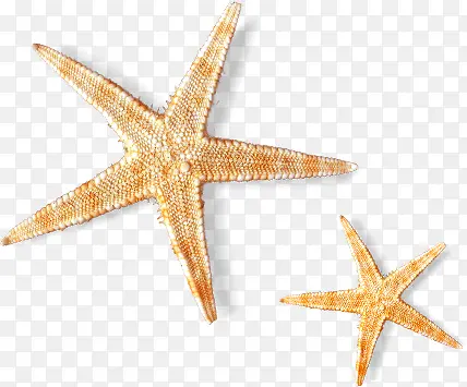 ��Ӱ���캣�ߵĺ���-������