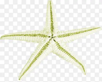 ��Ӱ���Ǻ���Ч��-������