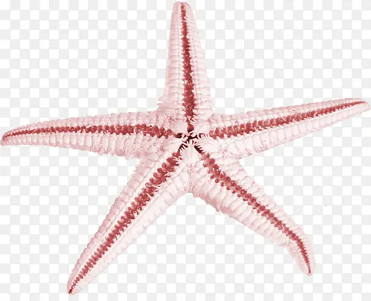 ��Ӱ���պ�������-������