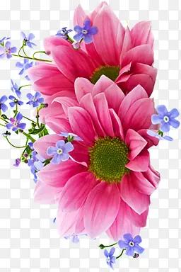 ��Ӱ�������պ�ɫ����-������