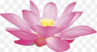 ��Ӱ��ɫ����Ч��-������