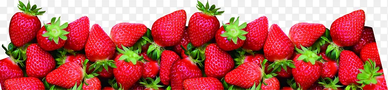 ��Ӱ�������ղ�ݮ-������