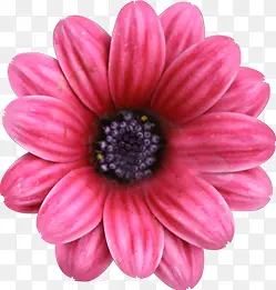 ��Ӱ��ɫ��������-������