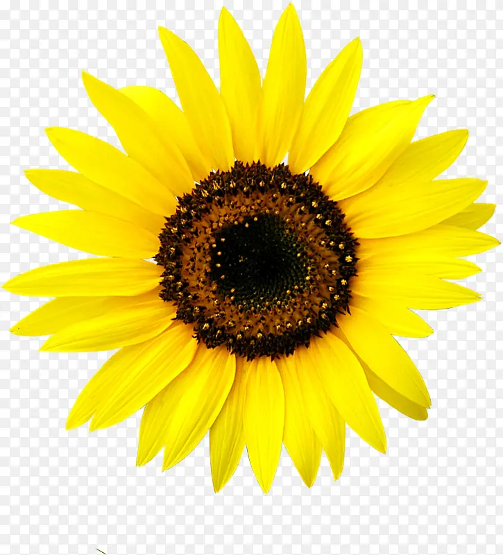 ��Ӱ��ɫ����Ч��-������