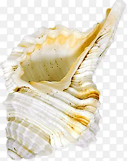 ��Ӱ����ɳ̲����-������