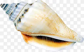 ��Ӱ���ձ���Ч��-������