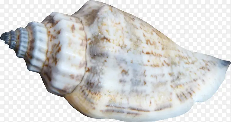 ��Ӱ���պ���ɳ̲����-������