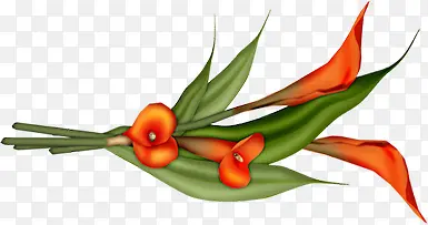 ��Ӱ�ֻ����ջ���Ч��-������