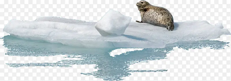 ��Ӱ���ջ��������Ч��-������