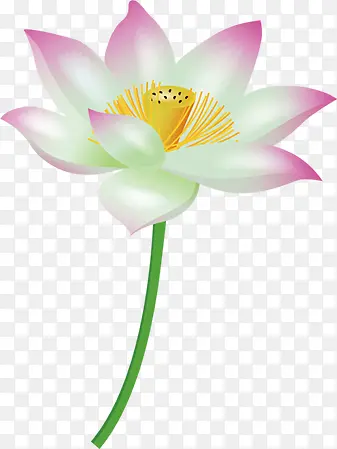 ��Ӱ�ֻ���������Ч��-������