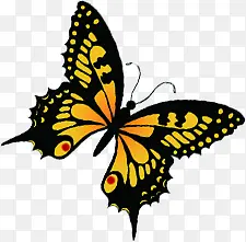 ��Ӱ�ֻ溣���������-������