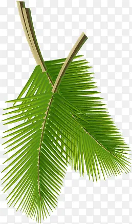 ��Ӱ���������ֻ���Ҷ-������