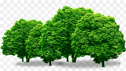 ������Ӱֲ����ľͼ-������