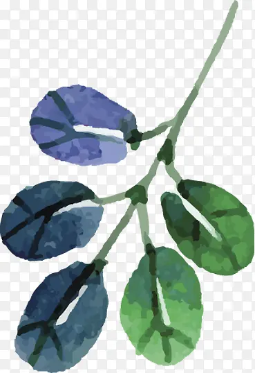 ��Ӱ�ֻ溣��ֲ��Ҷ��-������