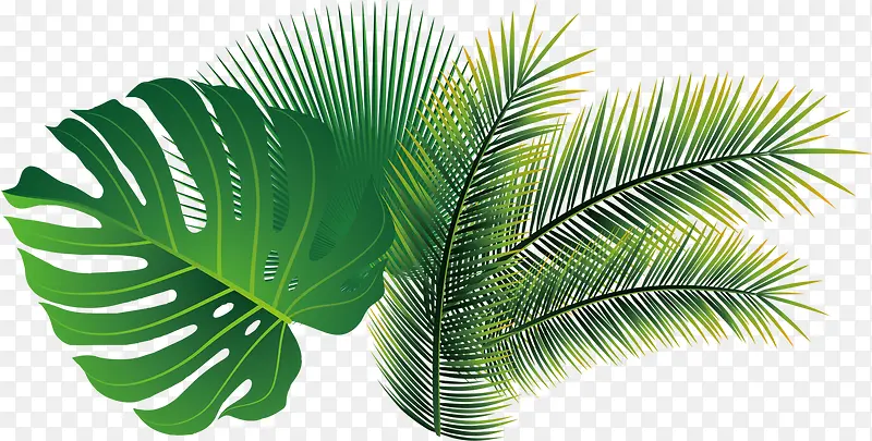 ��Ӱ�ֻ溣��С����ֲ����Ҷ-������