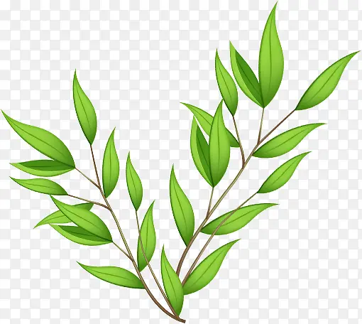 ��Ӱ�ֻ���ɫֲ����Ҷ-������