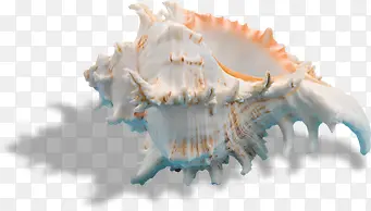 ��Ӱ����ɳ̲���߱���-������