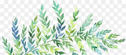 ��Ӱ��Ҷ����Ч��ͼ-������