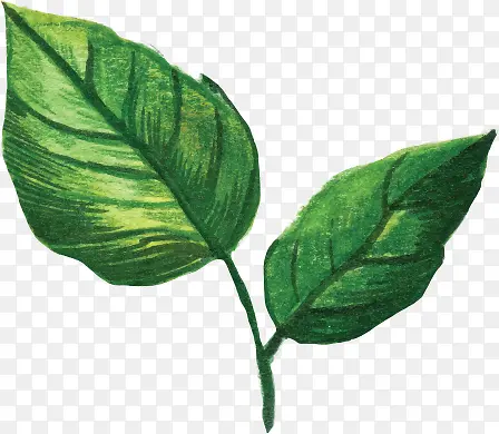 ��Ӱ�ֻ�����廭��Ҷ-������