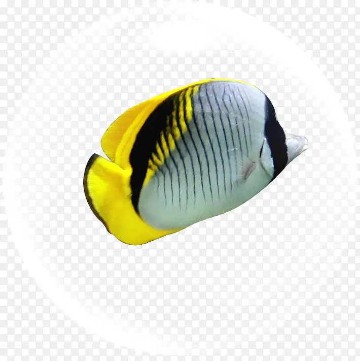 ��Ӱ���������ͼ-������