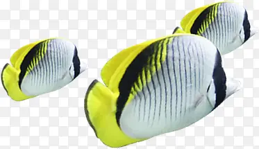 ��Ӱ����������Ⱥ-������