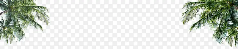 ��Ӱɳ̲������ҶЧ��-������