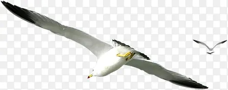 ��Ӱ���߷������Ч��-������