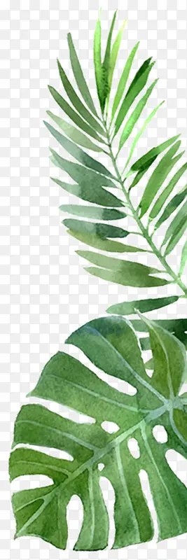 ��Ӱ�ֻ�廭��Ҷͼ-������