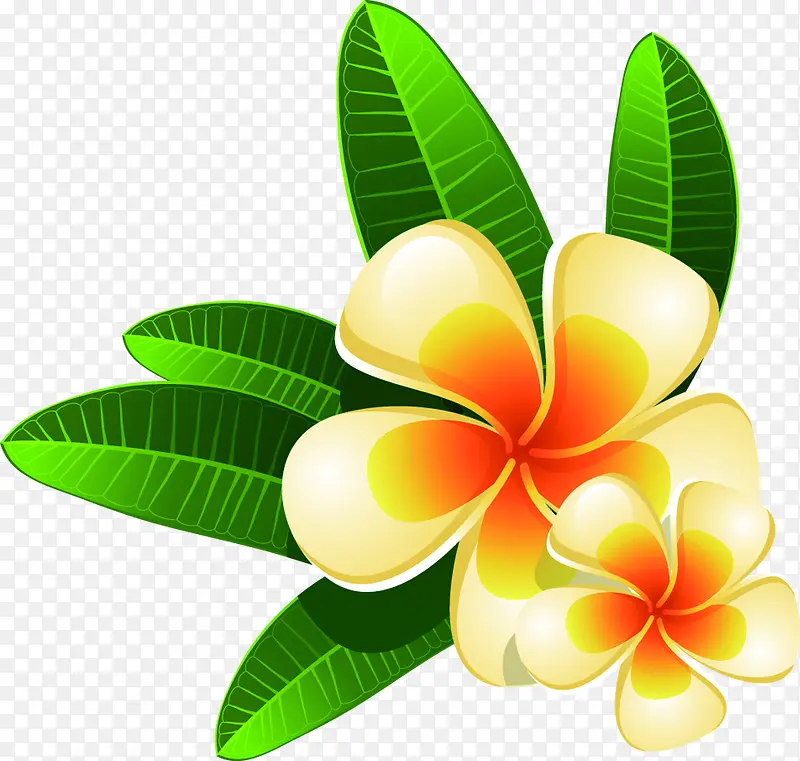 ��Ӱ�ֻ����庣������-������