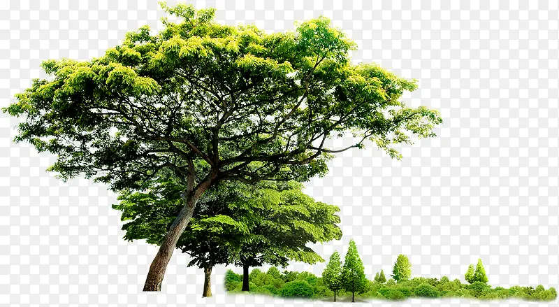 ��Ӱɳֲ̲����ľ-������