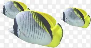 ��Ӱ��������������-������