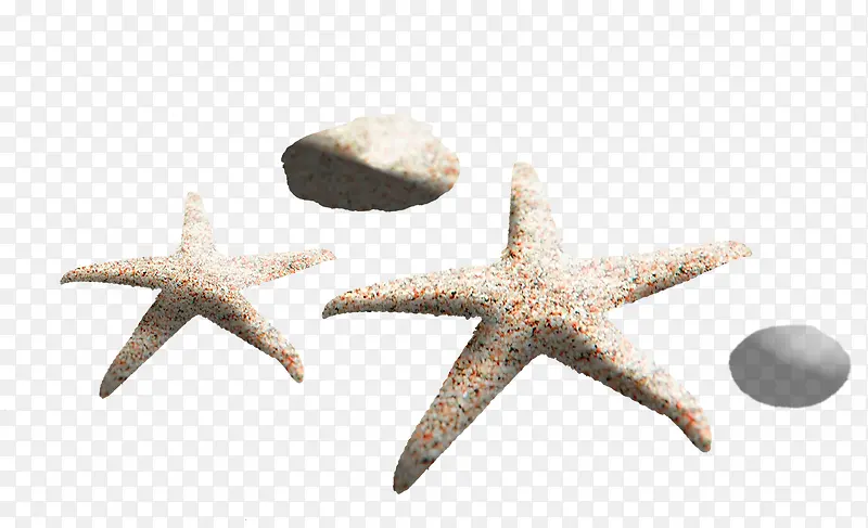 ��Ӱ�������纣��Ч��-������