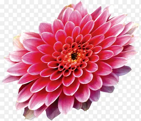 ��Ӱ��ɫ���ջ���-������