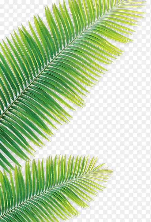 ��Ӱ�ֻ������ҶЧ��ͼ-������