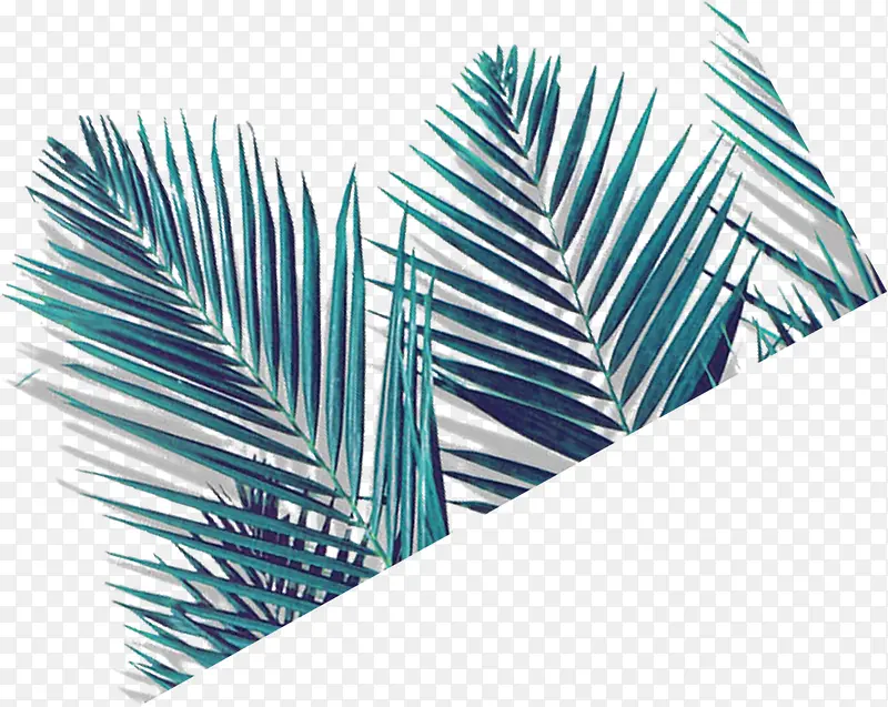 ��Ӱ���պ���ɳ̲С����-������