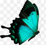 ��Ӱ���պ�������Ч��-������