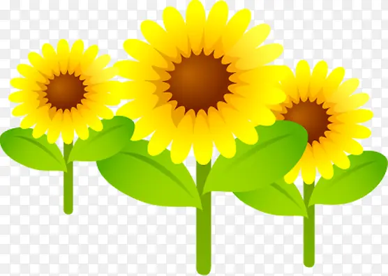 �����ֻ���Ӱ��ɫ����-������