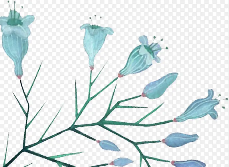 ��Ӱ�ֻ����պ���-������