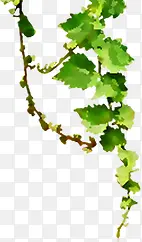 ��Ӱ��ɫ����Ч��-������