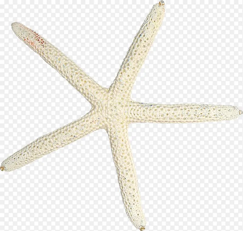 ��Ӱ��ɫ����ɳ̲ͼ-������