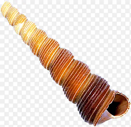 ��Ӱ��Բ����ɳ̲-������